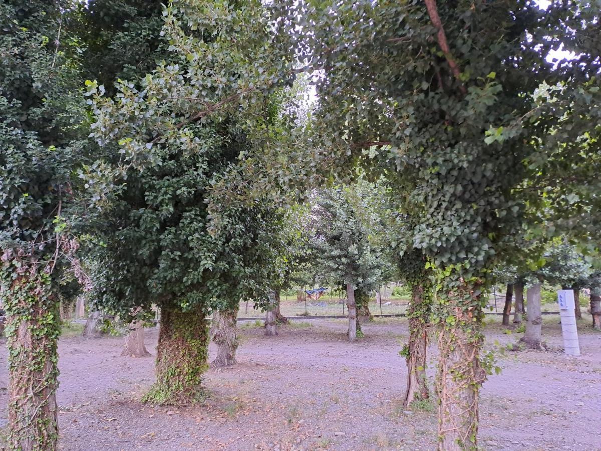 Camping Valle Del Andarax Fondón Extérieur photo