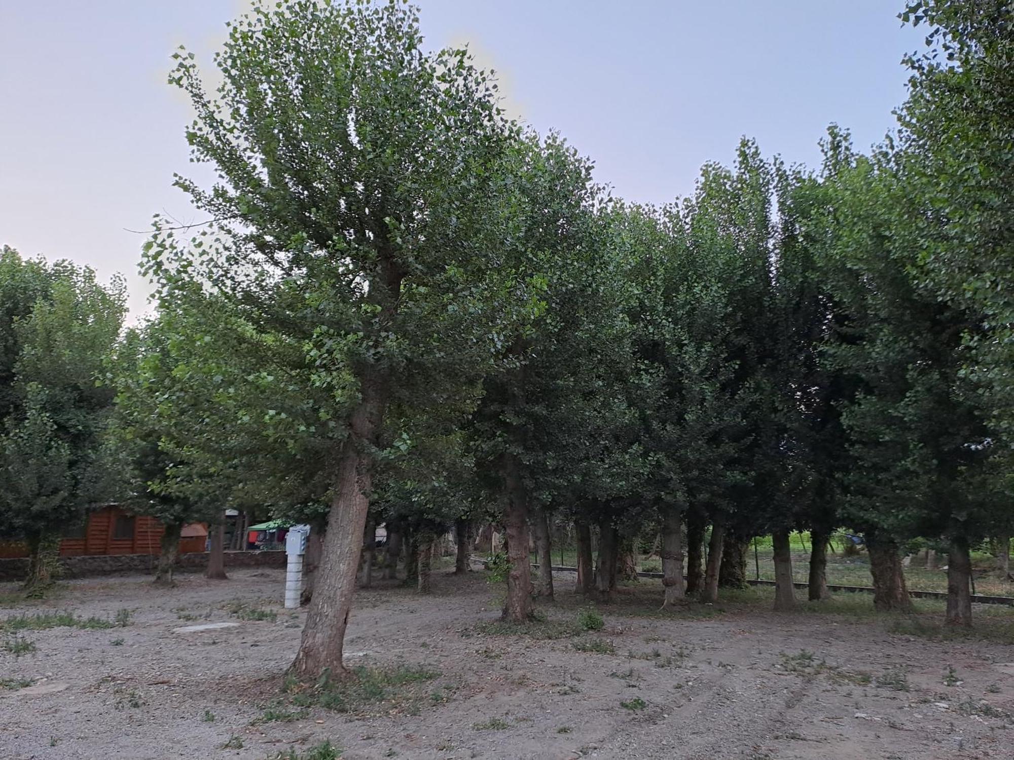 Camping Valle Del Andarax Fondón Extérieur photo