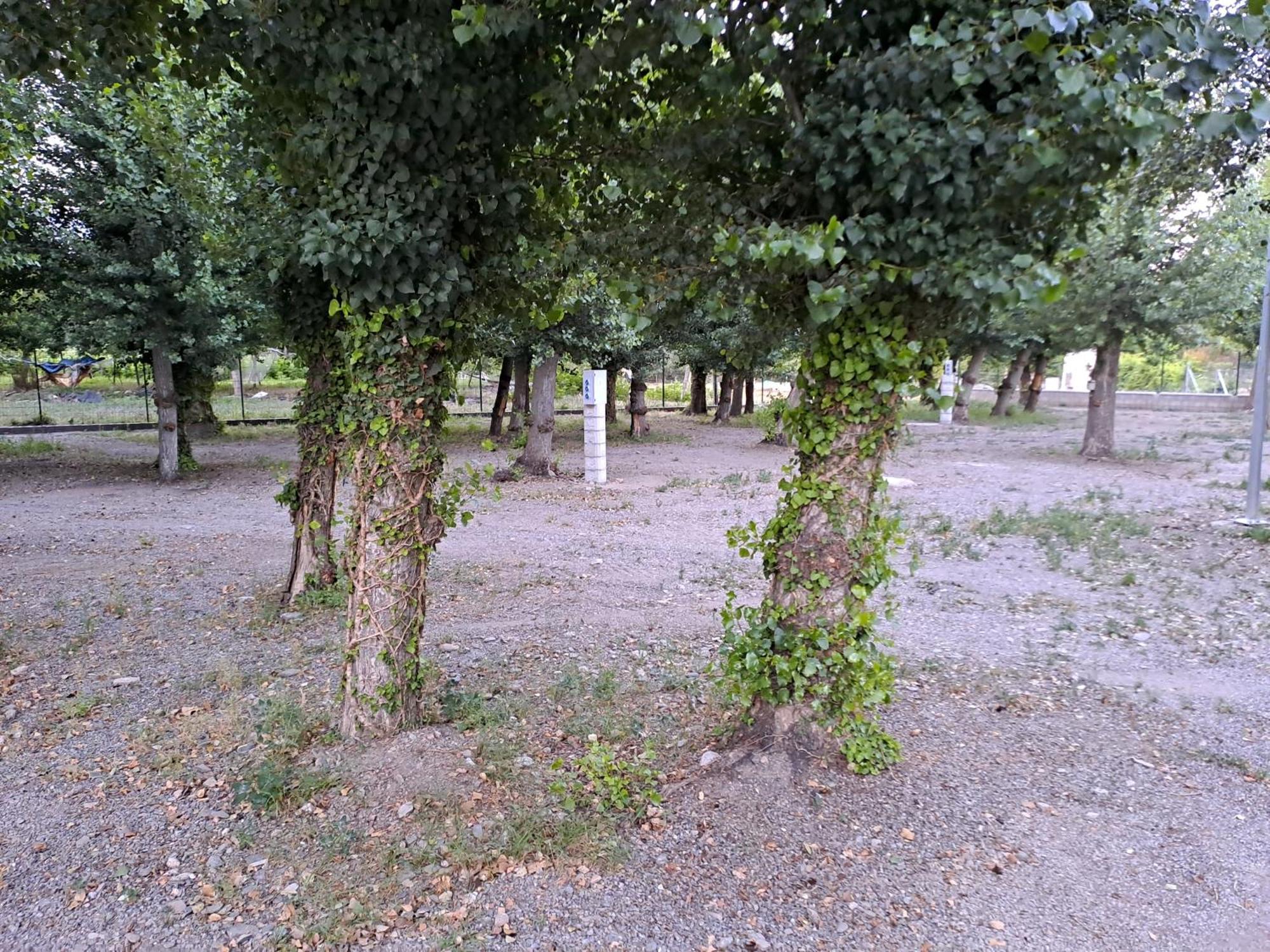 Camping Valle Del Andarax Fondón Extérieur photo